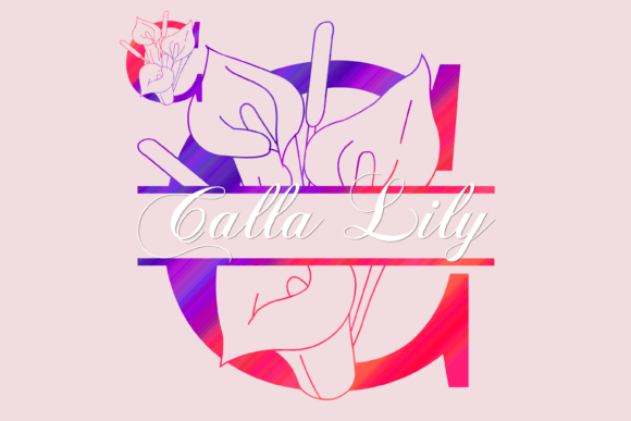 Calla Lily Split: A Decorative Typeface for Web Designers