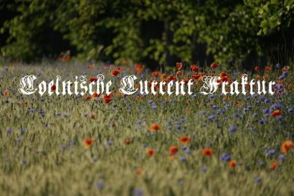 Coelnische Current Fraktur: A Typeface for Editorial Depth