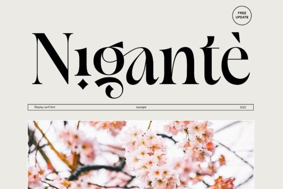 Elevate Your Editorial Design with the Nigante Typeface